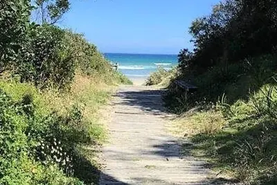 Image de 21 on Birrahlea est une jolie petite maison de plage au milieu des arbres dans la magnifique baie de Waratah.