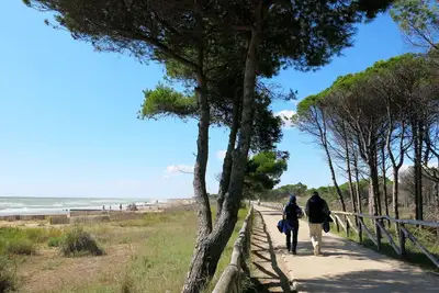 Image de Agréable appartement dans une maison de vacances avec climatisation, Wifi, Tv, terrasse, parking