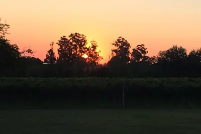 Image de Cabanes entourées de vignobles, avec de l'histoire et quelque chose de nouveau à découvrir, beaucoup de paix