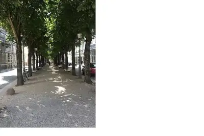 Image de Oasis de bien-être au centre de Baden-Baden
