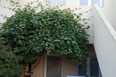 Image de House in the heart of the Empordà. By train station and 15 km from the beach