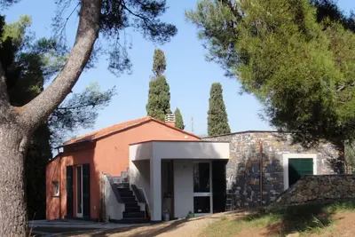 Image de Maison en cèdre, dans un grand jardin méditerranéen, les Alpes maritimes et la mer