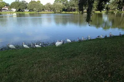 Image de Lac Pasadena Charme dans un studio privé Cottage