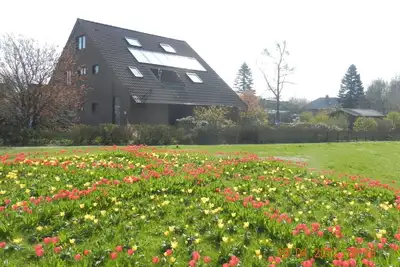 Image de Appartement \/ app. pour 5 personnes avec 75m² à Tossens (126033)