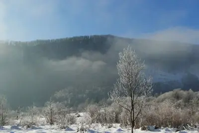 Image de Une atmosphère chaleureuse qui garantit un bon moment avec une nature intacte.