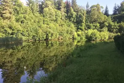 Image de Ancien moulin dans un écrin de verdure