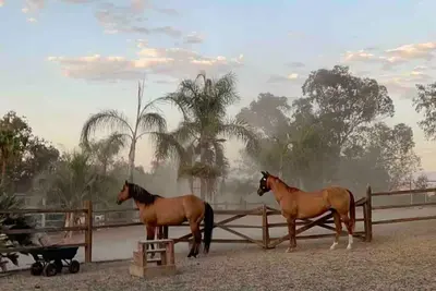 Image de Private Petting Zoo - Glamping Ranch Vibes
