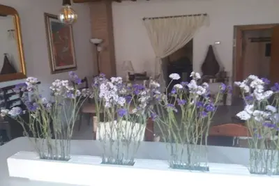 Image de Colisien Home Maison de vacances