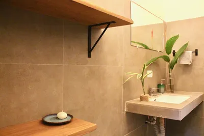 Image de Boutique, conçu, moderne, paisible maison de la jungle