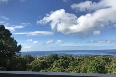 Image de Carribean \/ Rainforest