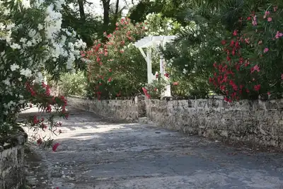Image de Gracieuse maison et jardins nichés sur Harbour Island Bay