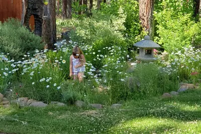 Image de Lost Sierra Mountain Home
