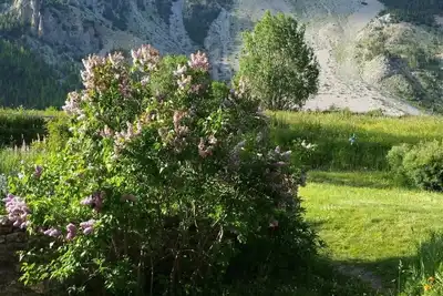 Image de Plusieurs appartements\/maisons à louer dans une belle vallée en France