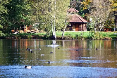 Image de Wasgau - Vue - Appartement à Schöntalweiher