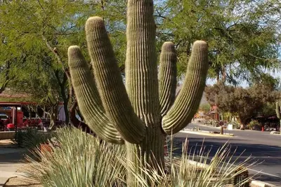 Image de Lakeside Oasis, Centrally Located w/Huge Deck free wifi & Heated Pool