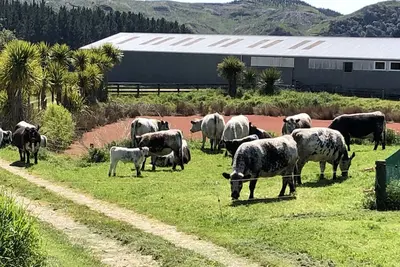 Image de Retraite rurale dans une ferme biologique en activité.