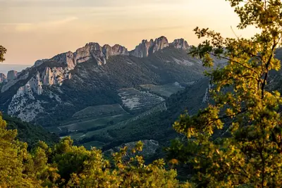 Image de Maison de charme dans les Dentelles de Montmirail