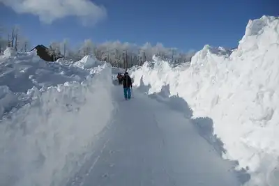 Image de Ski-N / Out Ă Powder Mountain