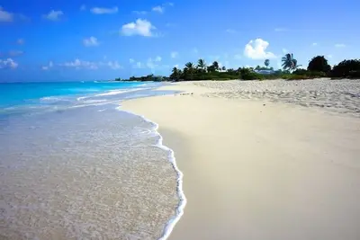 Image de 30 Deuxième promenade jusqu'à Grace Bay Beach! , 3br + 1br (4), piscine privée! Jardins luxuriants! !