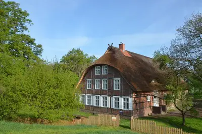 Image de Enfant de digue Elberadweg