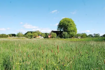 Image de Idylle pure dans un endroit isolé sous le chaume à la lisière de la forêt
