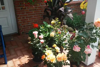 Image de Appartement à l'étage supérieur avec jardin