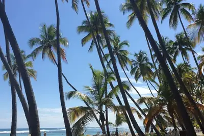 Image de Condo de plage luxueux; vue imprenable, meublé, plage privée