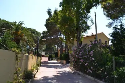 Image de Terrasse sur Naregno.
