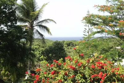 Image de Villa ‘‘ Sapotille ’’ calme tout confort au Moule proche des commerces