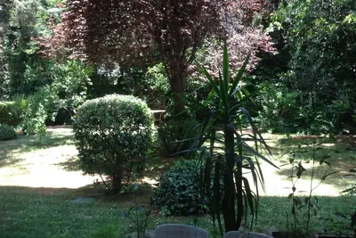 Image de Grand appartement dans le quartier privilégié d'Athènes et emplacement sûr