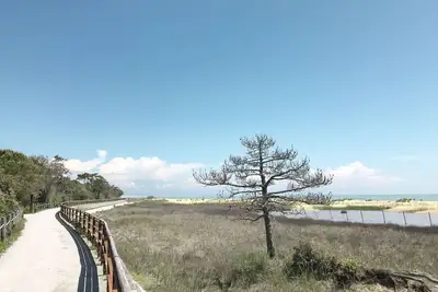 Image de Confortable appartement pour 6 personnes avec climatisation, Tv, balcon et animaux admis