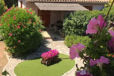 Image de Mini Villa 1 individuelle (3 Etoiles)