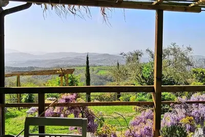 Image de Ferme Montesalce-Blanc Plat
