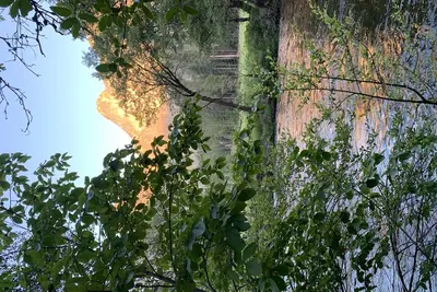 Image de Yosemite Retreat for you and your family