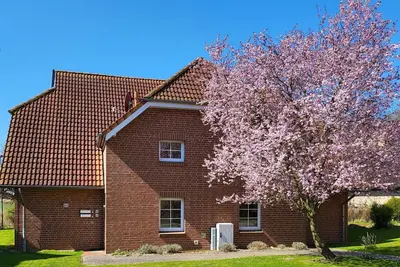 Image de Joli appartement pour 4 personnes avec Wifi, Tv, balcon, animaux admis et parking