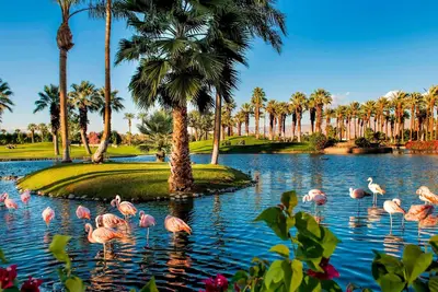 Image de Marriott Desert Springs Villas Ii 12 Du 12 mars 2019 au 19 mars 2019 1br / 1ba