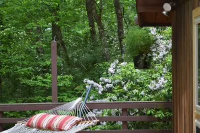Image de Maison en cèdre Lindal située à côté de la forêt récréative d'État de Dupont.