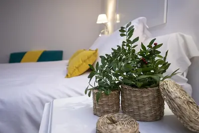 Image de Loft bohème dans le centre ville de Palma proche de la cathédrale et du bord de mer.