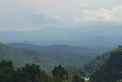 Image de Les CÔTÉS Des Arbres @ Watauga Vista
