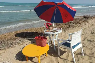 Image de Nid de paix près de la mer
