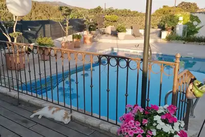 Image de Bandol studio les Kikous Piscine