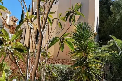 Image de villa blanche. Urbanisation de luxe, à proximité des espaces verts de la plage. 3 cames