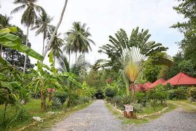 Image de Maison de vacances de 45 m², station tranquille dans la cocoteraie au bord des montagnes