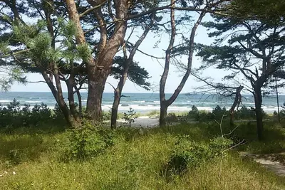 Image de Appartement ensoleillé avec accès direct à la plage et Spa (piscine, sauna)