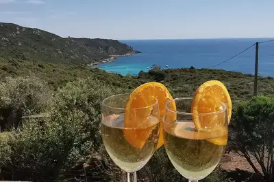 Image de Chalet Cala d'Orzu avec piscine privée vue mer et la tour de Capu-Neru