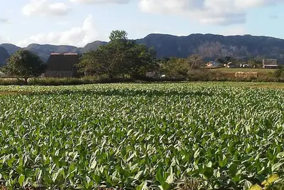 Image de Villa Benito VIÑALES