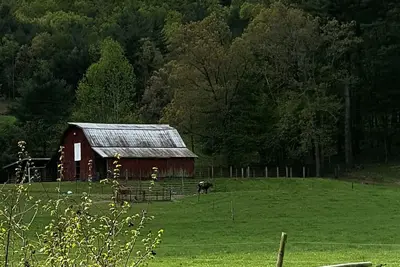 Image de Camping n ° 1! ! Camping sous tente privée près de Dupont!