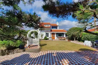 Image de Palm Tree Hill Villa