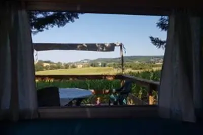 Image de Bambous - Le Clos des Oiseaux