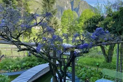 Image de Maison de campagne de Paola - Vanoi Primiero Dolomiti Trentino
